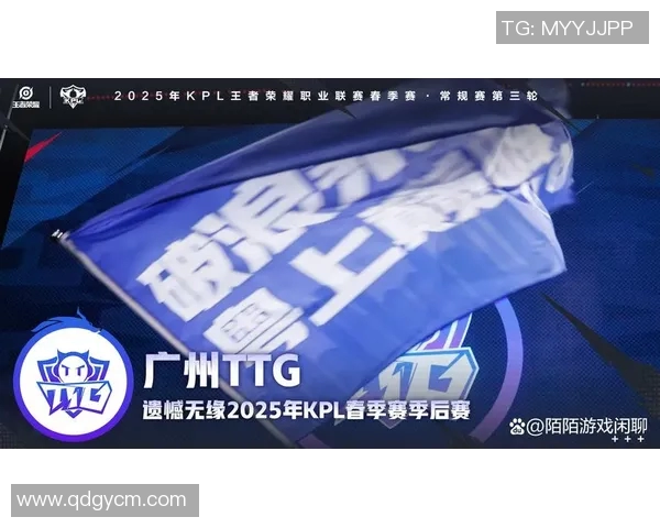 聚焦王者荣耀TES战队的比赛经验与策略分享探讨 聚焦王者荣耀TES战队的比赛经验与策略分享探讨